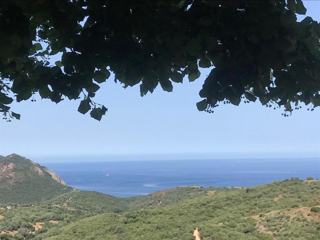 Villanova Les Terrasses De Scaglioli 빌라 외부 사진