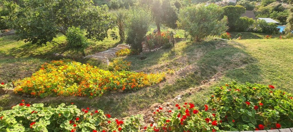 Villanova Les Terrasses De Scaglioli 빌라 외부 사진
