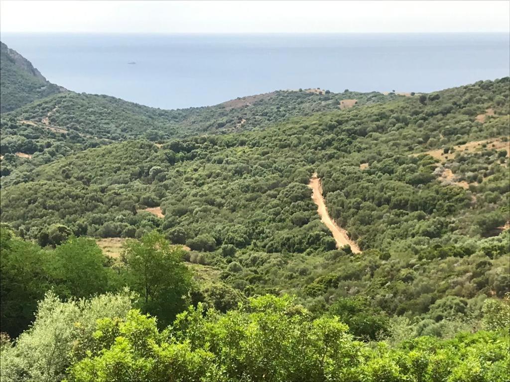 Villanova Les Terrasses De Scaglioli 빌라 외부 사진