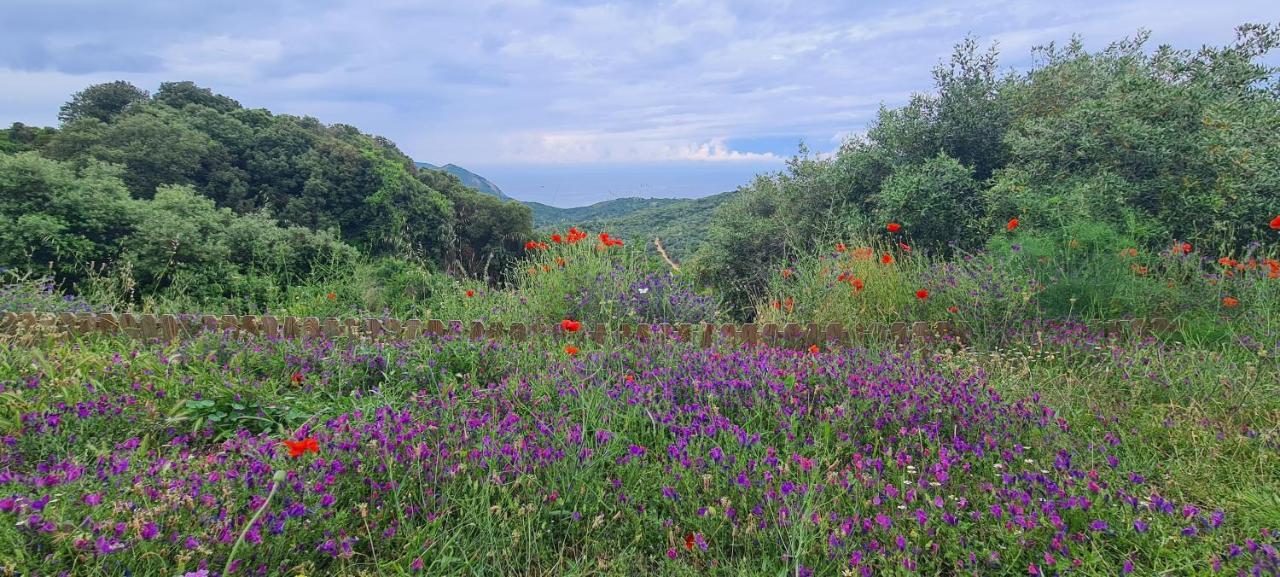 Villanova Les Terrasses De Scaglioli 빌라 외부 사진